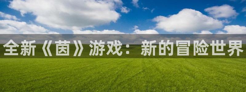 星欧娱乐平台官网登录：全新《茵》游戏：新的冒险世界
