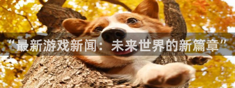 星欧娱乐游戏：“最新游戏新闻：未来世界的新篇章”
