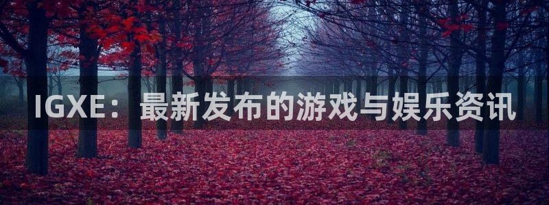 星欧娱乐注册服务条款