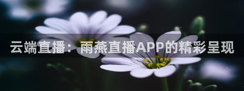 极速体育赛事直播：云端直播：雨燕直播APP的精彩呈现