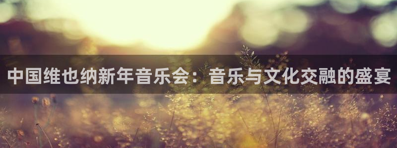 nba直播极速体育jrs：中国维也纳新年音乐会：音乐与文化交融的盛宴