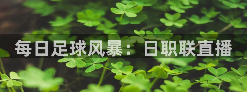 极速体育直播吧nba：每日足球风暴：日职联直播