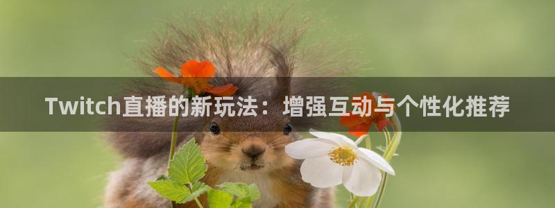极速体育直播吧体育直：Twitch直播的新玩法：增强互动与个性化推荐